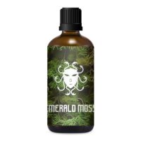 Loțiune după ras Ariana & Evans Emerald Moss 100ml